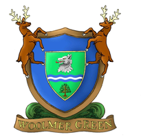 Playground Equipment for Woolmer Green