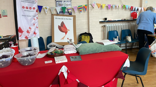 Red Kite Rape and Sexual Abuse Support Service